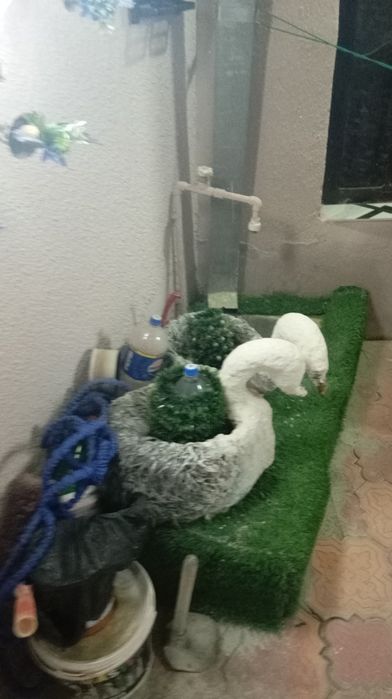 Продается дом Гагарина