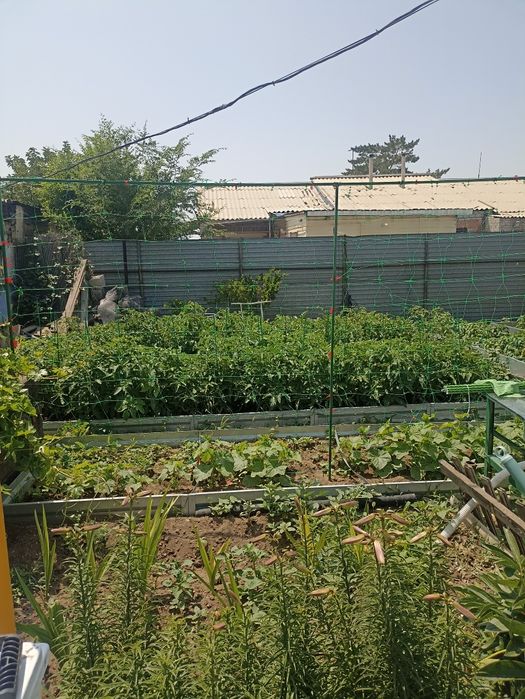 Продам коттедж в Жезказгане