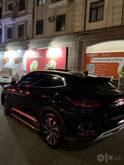 Byd chempion gibrit