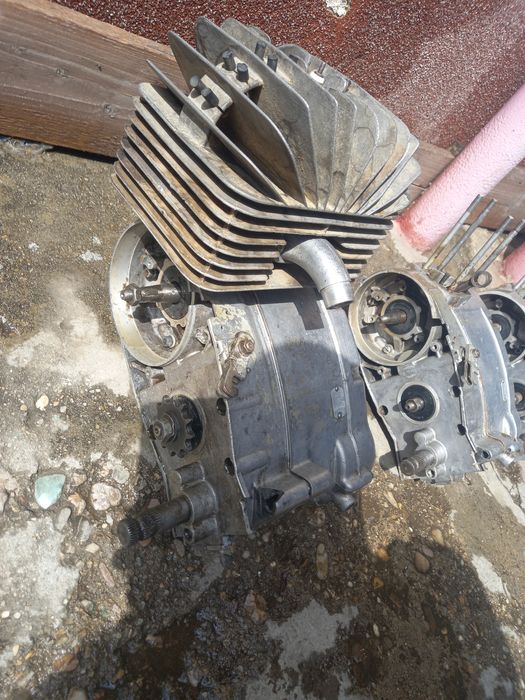 Motoare mobra hoinar