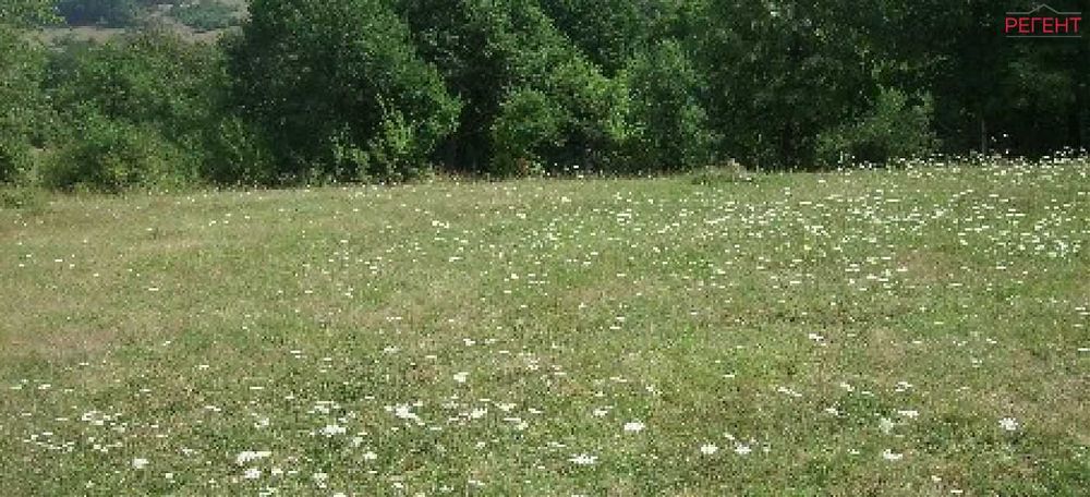 Парцел-Петкова нива-3200м²