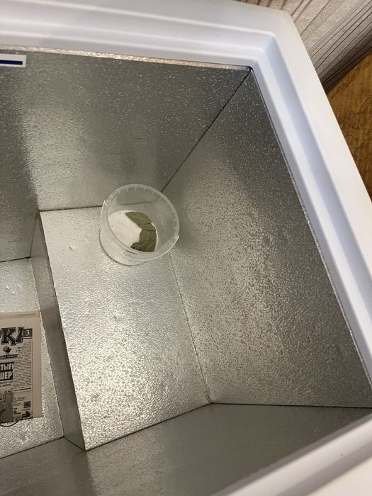 морозильная камера