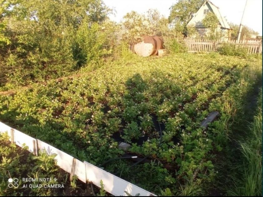 Срочно Продается Дача СО Пригородный