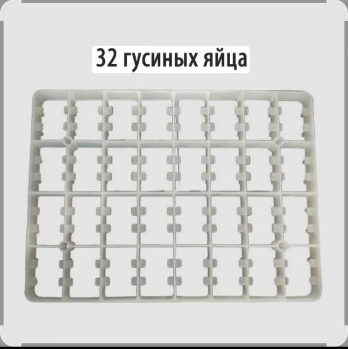 Продам лотки гусинные