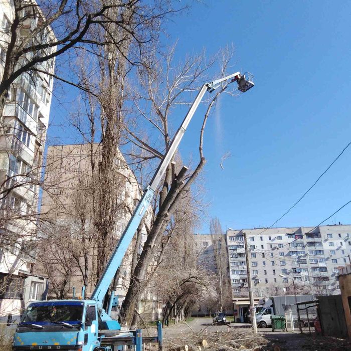 Спил, кронирование, опилка, выкорчевывание.