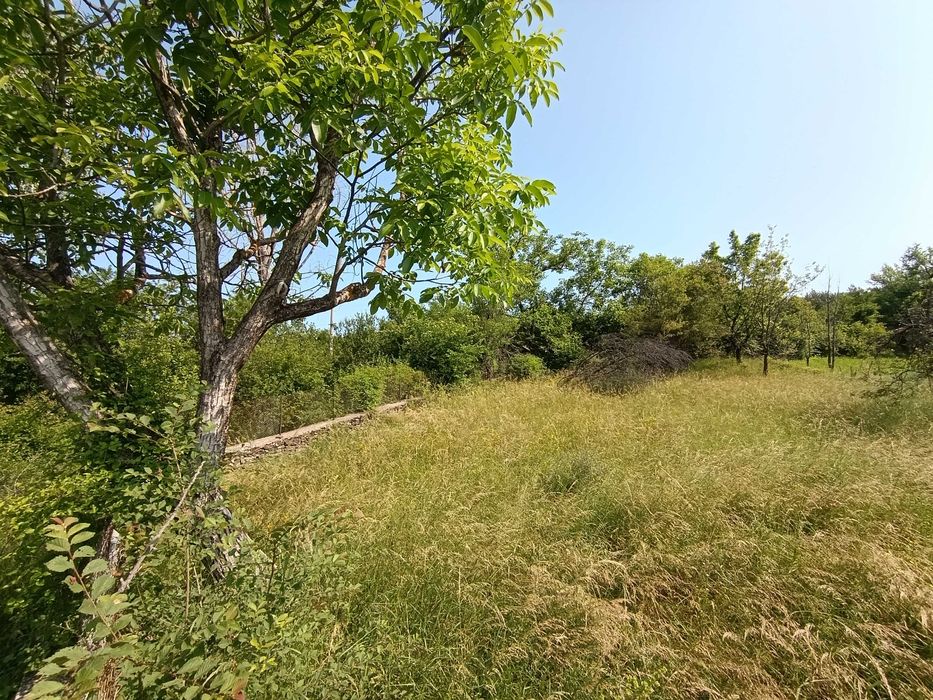 Продава се Парцел в Севлиево - 1750 кв.м за 8 €/кв.м - Снимка #3