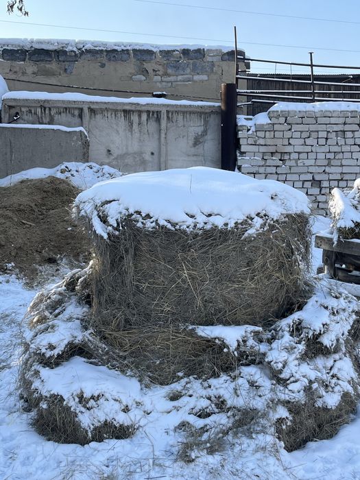 Сено для крупного скота