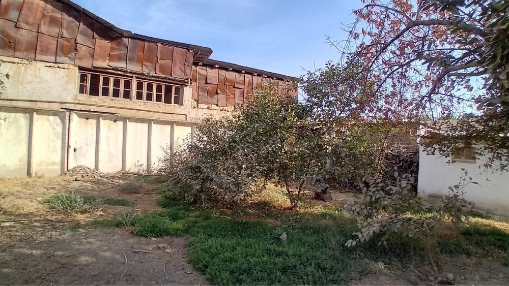 Yer sotiladi chinoz shaxar