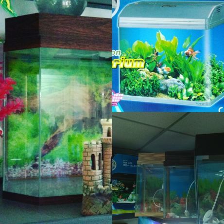 Рыбки в Афалине(р-н Орбита)