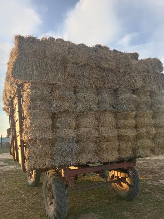 Мтз 80 сатылады жагдайе жаксы