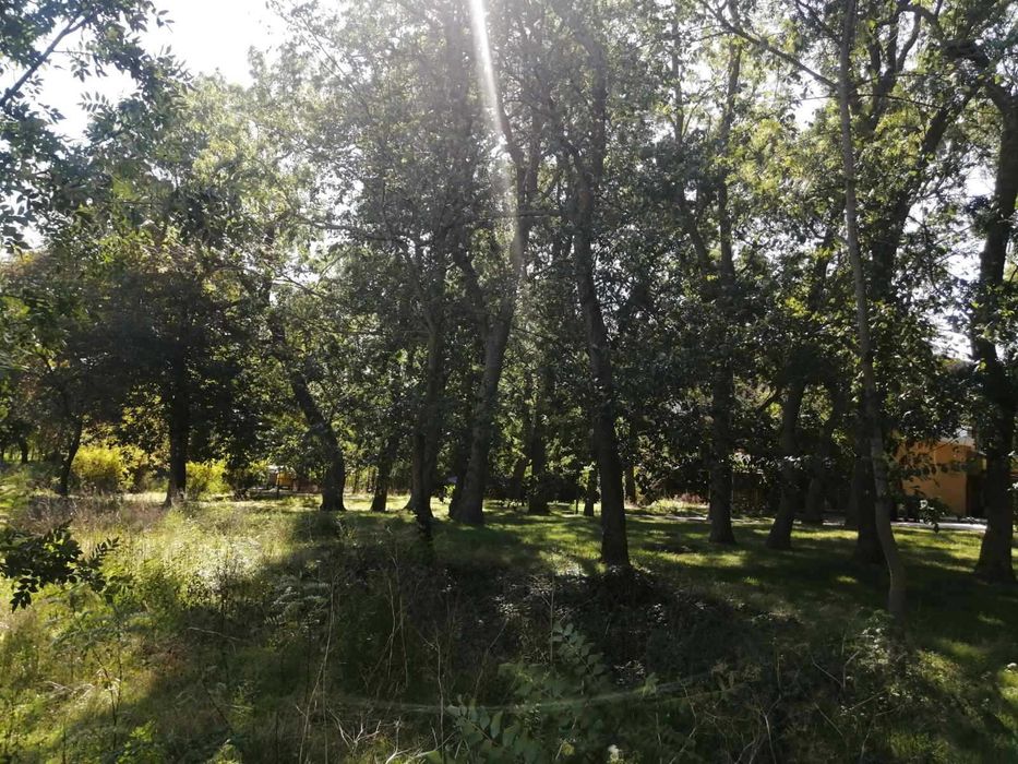 Продава се Парцел в Каварна - 470 кв.м за 149 €/кв.м - Снимка #3