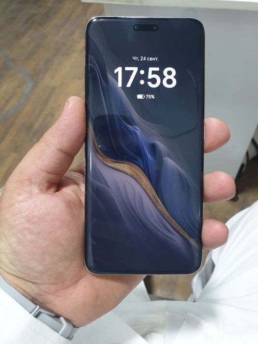 Honor megic 6 pro
