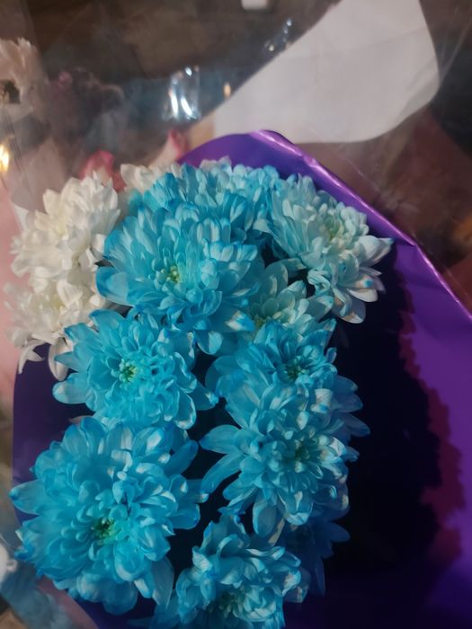 Цветы Хризантема