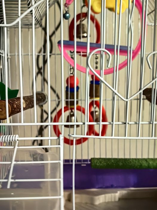 Клетка для попугая
