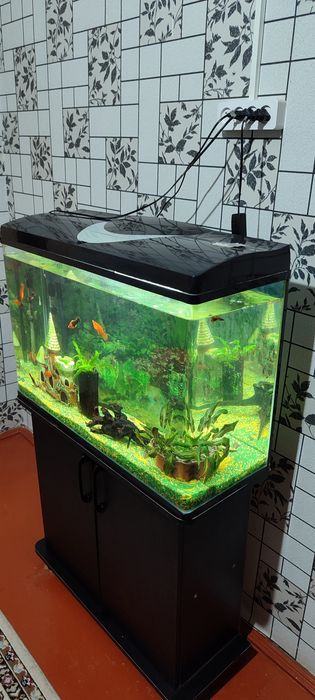 Аквариум заводской