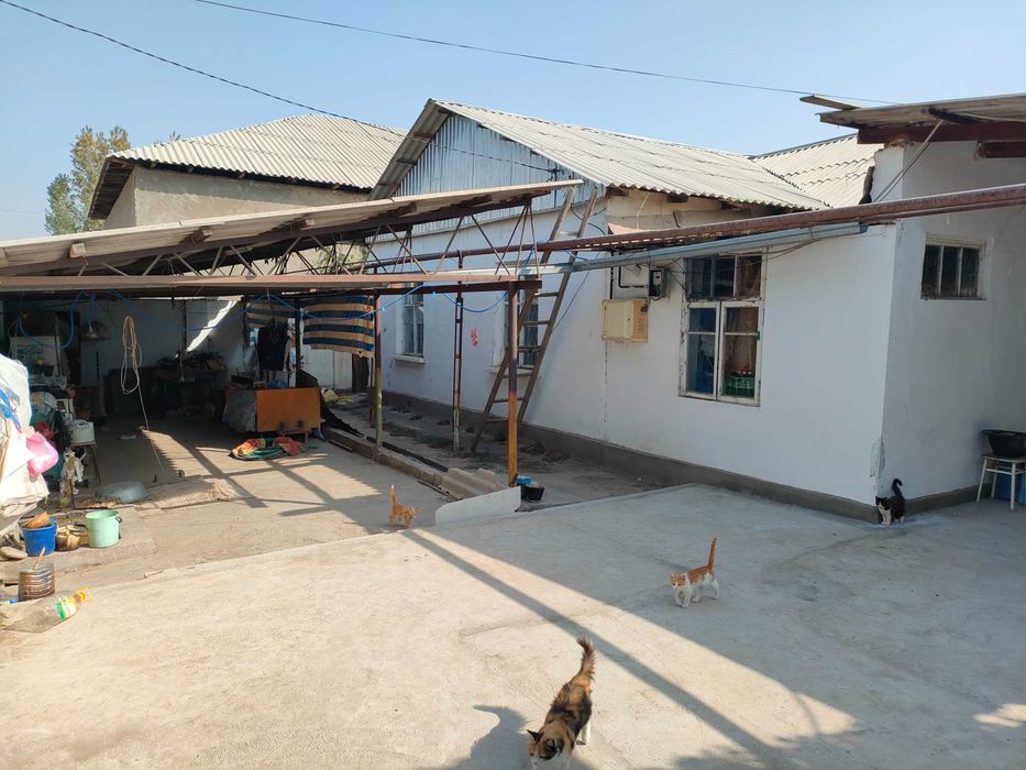 Продается дом 13 соток в Таш Обл. Ободон Махалля