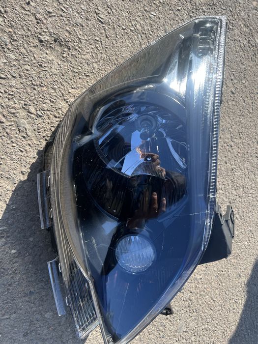 Kobilt midnihgt farasi