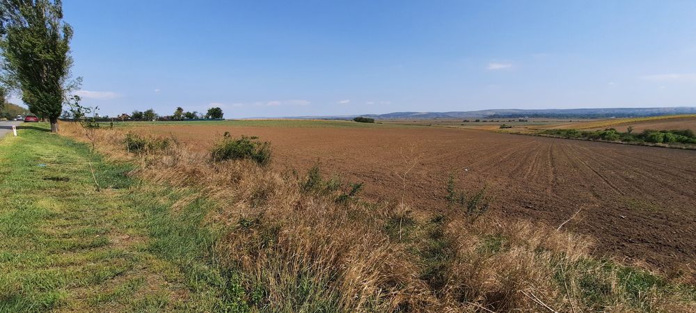 Teren 6000mp Bogdan Voda-A7-centura Bacau - Vedere 3