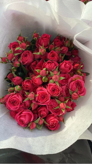 Цветы оптом цена 250