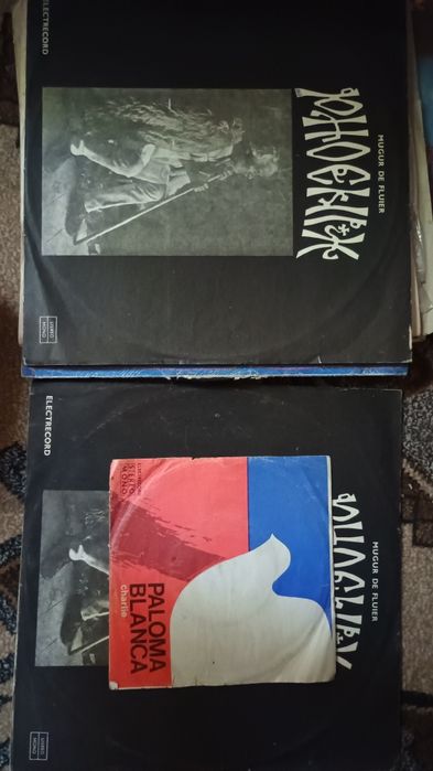 Placi vinil muzica populara, usoara, clasica, povesti