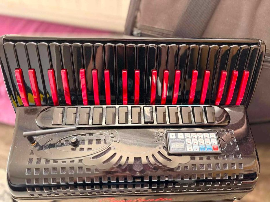 Vând acordeon electronic cu micro 1