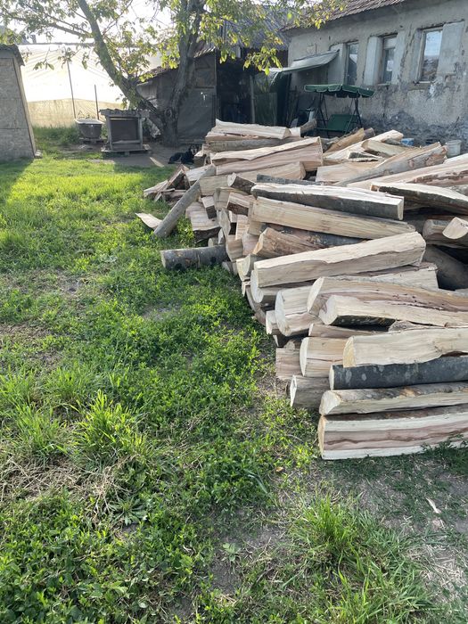 ‼️Vindem lemne de foc la cel mai bun preț din județ