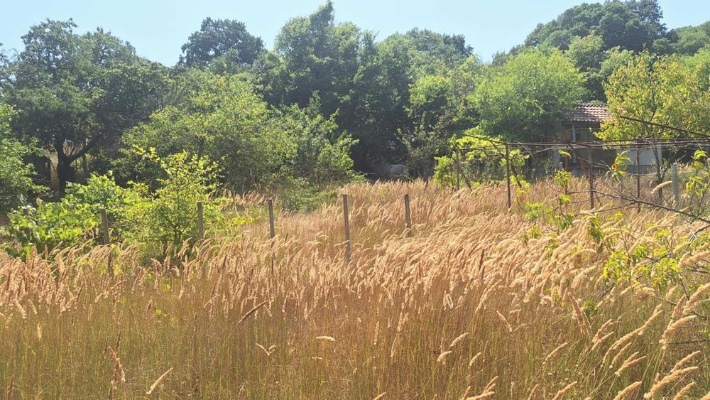 продавам парцел Боровец юг на 1500 метра от спирка Кантара