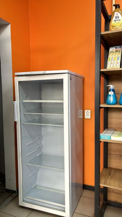 Холодильник Бирюса 290