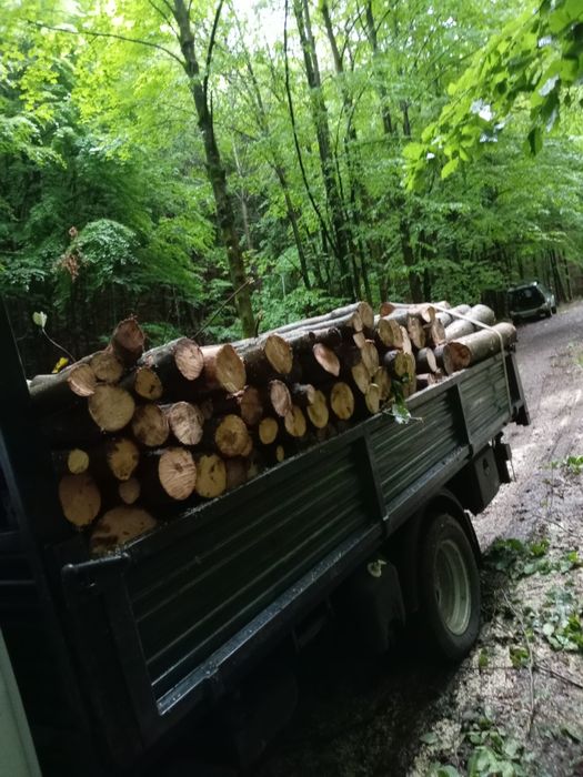 Lemne rotunde pentru foc