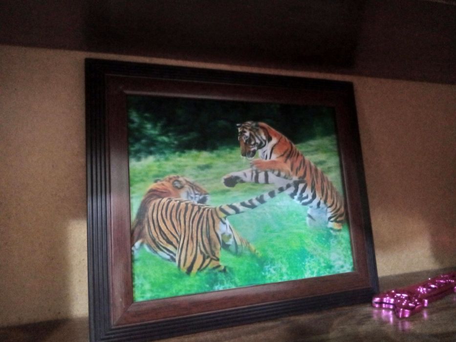 Картина с тиграми 3д