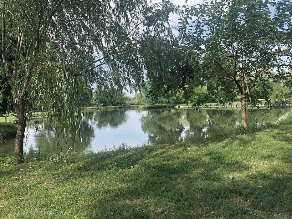 Продава се Парцел в с. Куртово Конаре, Област Пловдив - 21115 кв.м за 17 €/кв.м - Снимка #11