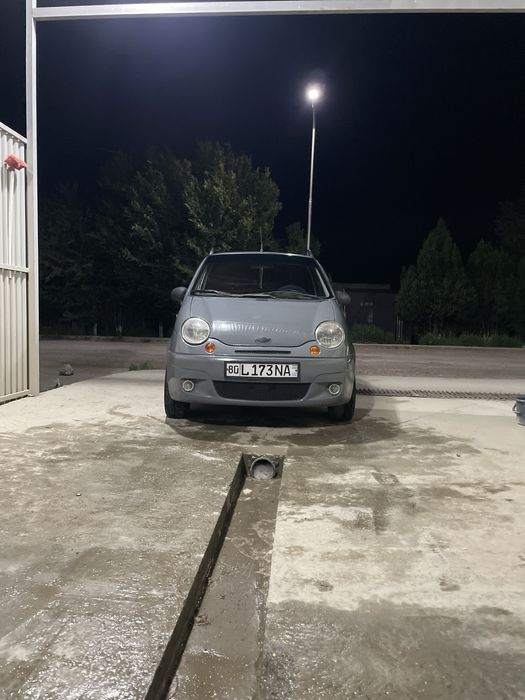 Matiz narda grey