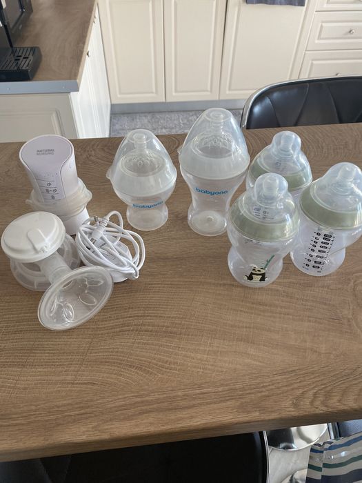 Pompa se san si biberoane panda si babyono