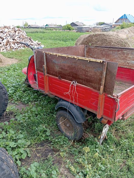 Продам муровей .