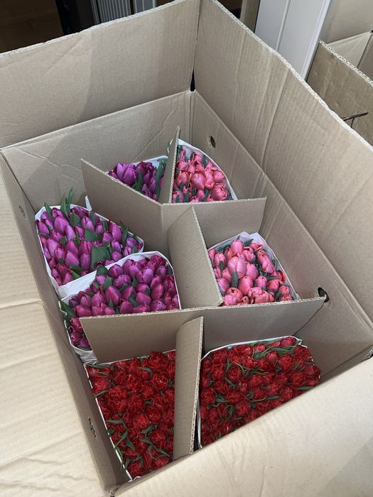 Тюльпаны оптом и в розницу Астана