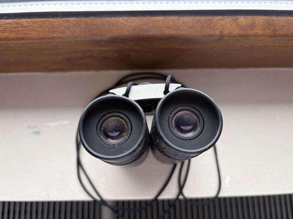 Binoclu Minolta Pocket II 8x22