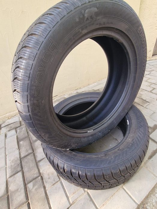 Anvelope BMW x5 255/50 R19 V XL EURO FROST de iarna