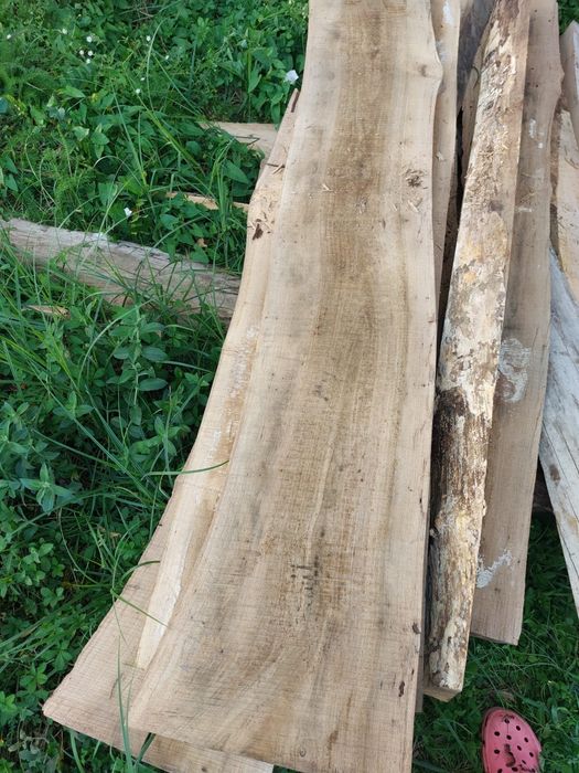 Vand cherestea-dulapi nuc netivita