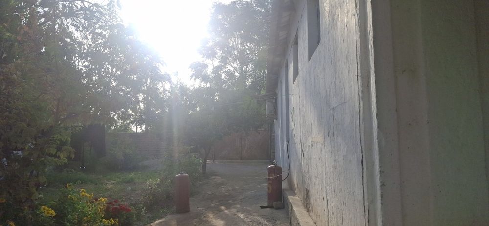 Уй сотаман томарқали