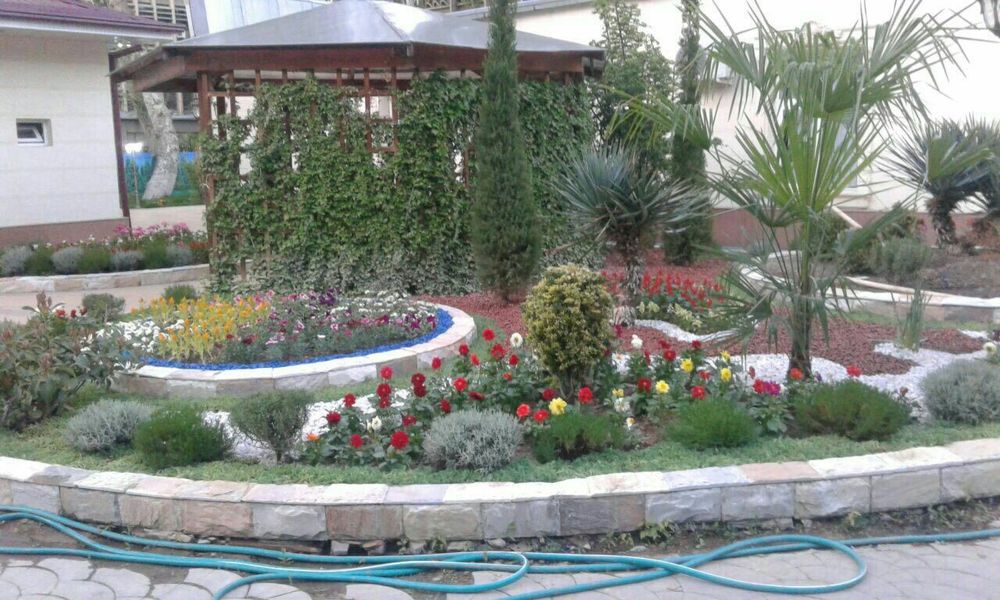 Качественные услуги для вас 
Газон 
Деревня 
Светочка
Ландшафтный диза