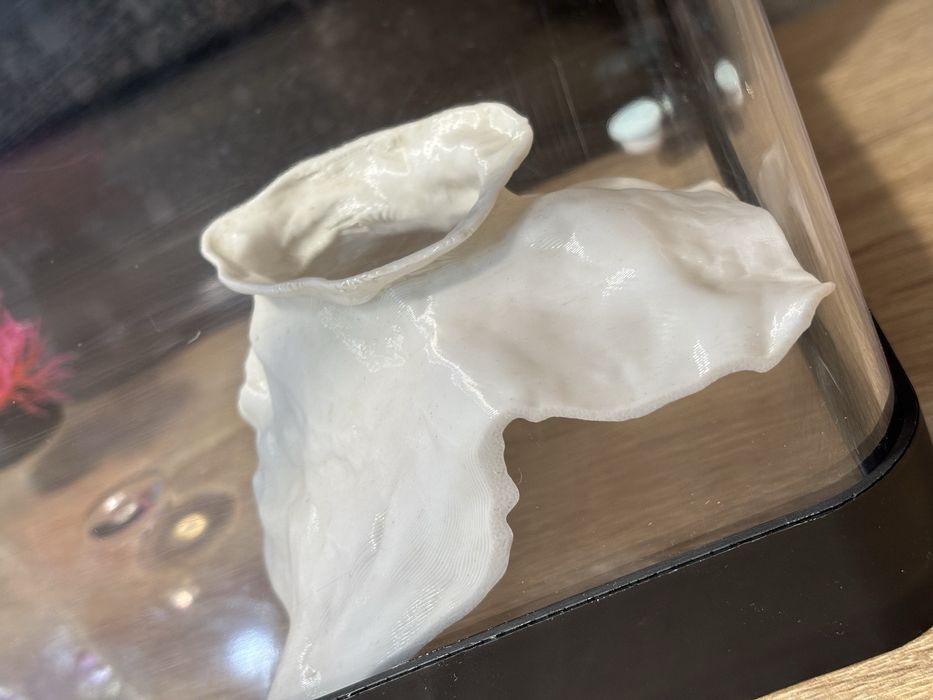 Аквариум 10 литров