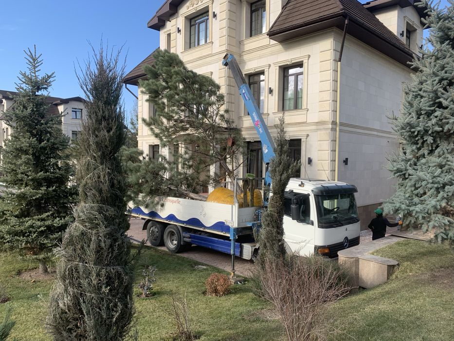 Манипулятор услуги