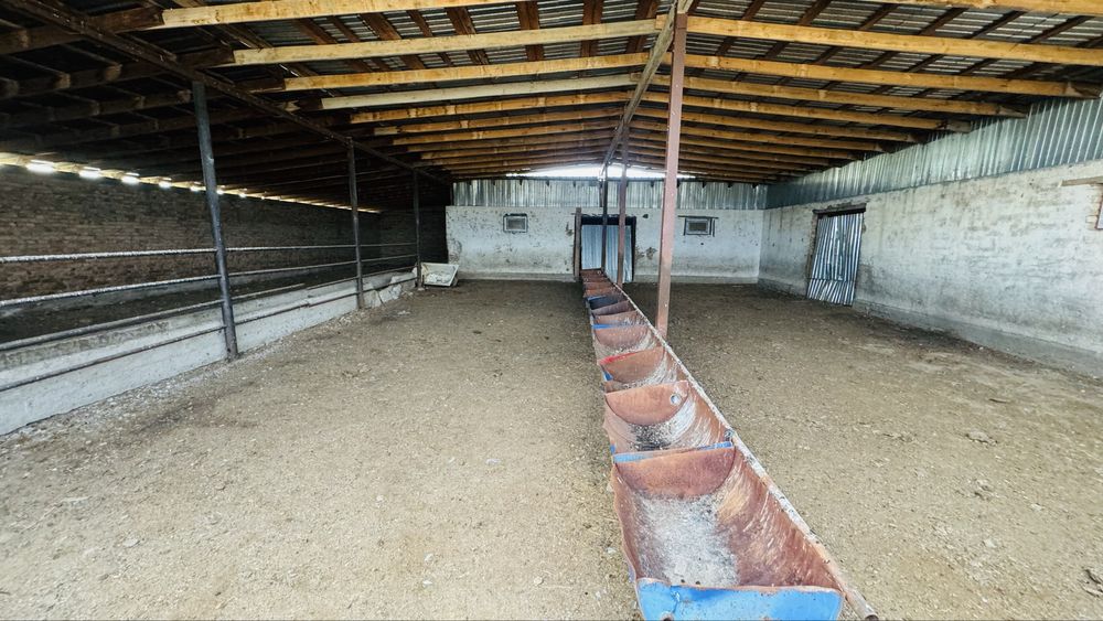 Продам Фазенду 8,08 га