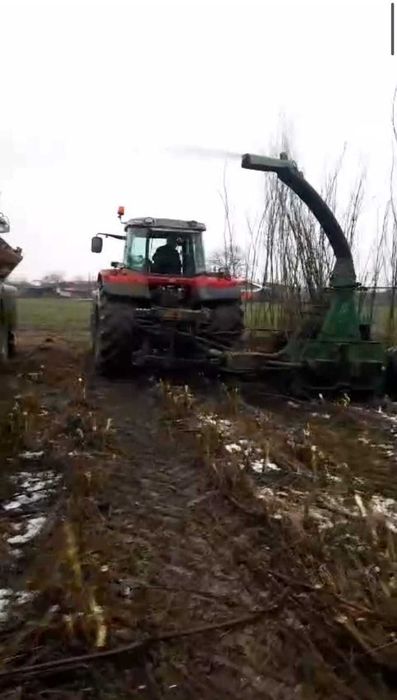 Defrisare , pregatiri terenuri agricole ,recoltare salcie energetica !
