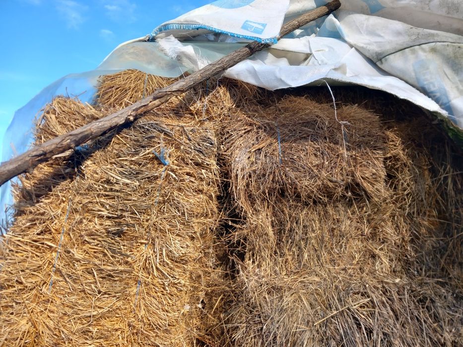 Baloți de fân cu lucernă