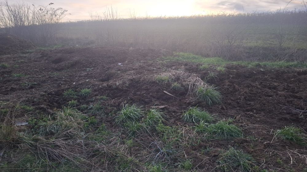 Vand gunoi de grajdi