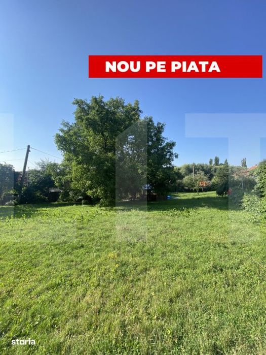 Teren intravilan de vanzare, 821 mp, Strada Borviz