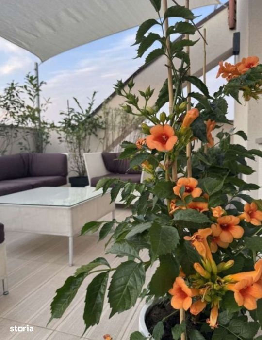 Bloc Nou Ultralux 3 Camere + Terasa Panoramica Timpuri Noi + Parcare