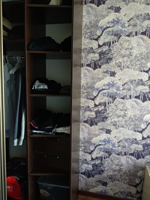 Шкаф куппе с зеркалом