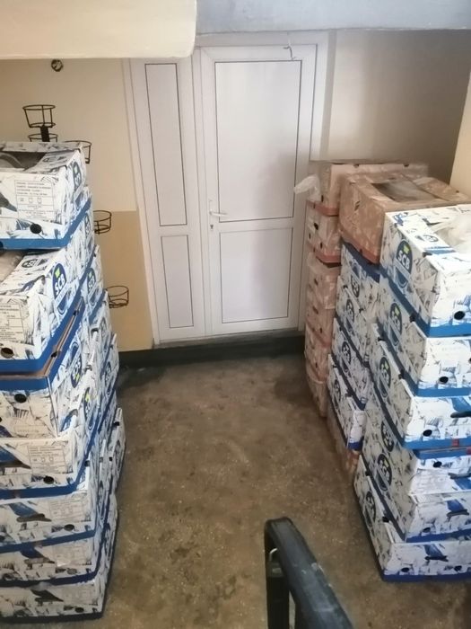 Baxuri banane lădițe plastic noi pentru fructe legume flori